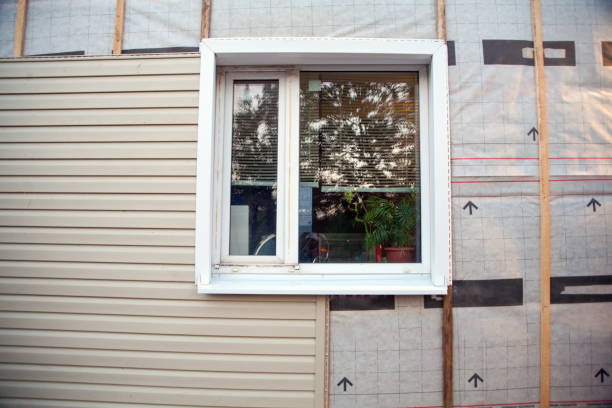 Affordable siding repair and maintenance services in Channel Lake, IL